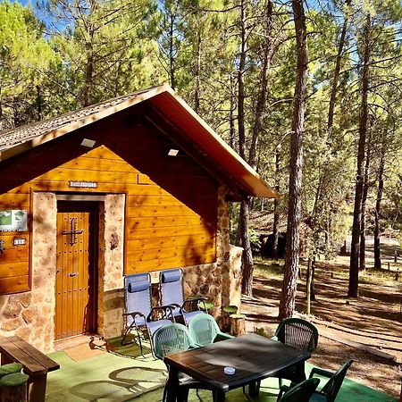 Casa Rural Campanilla Riópar Dış mekan fotoğraf