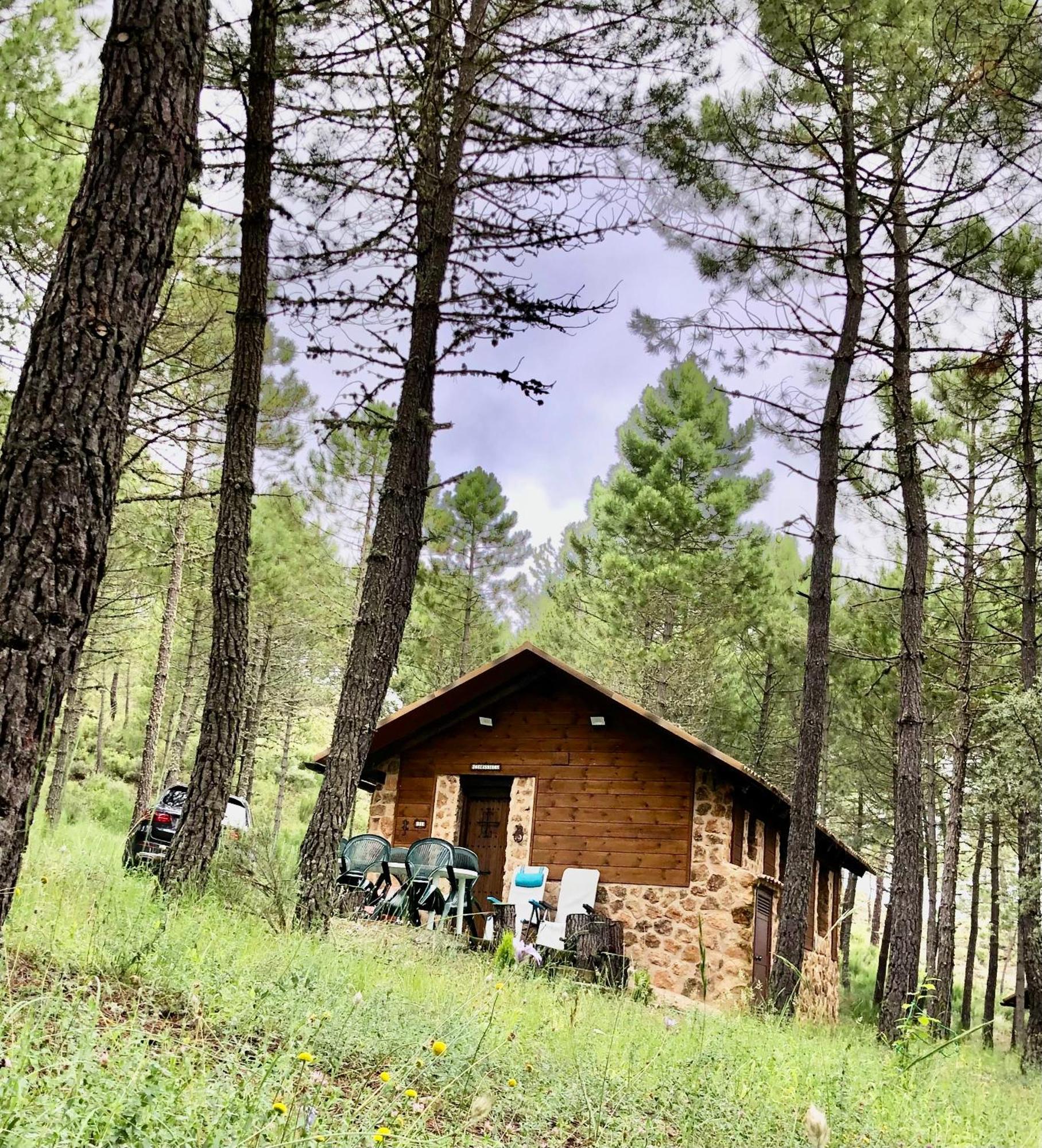 Casa Rural Campanilla Riópar Dış mekan fotoğraf